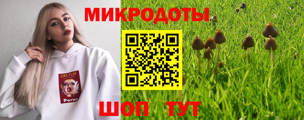 Псилоцибиновые грибы мицелий  Вход с VPN  Богородицк 